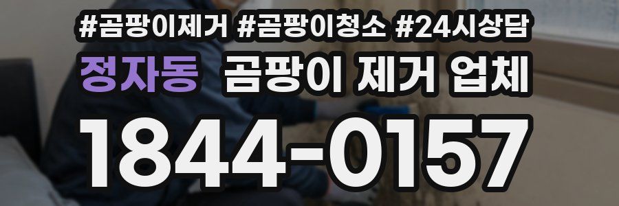 정자동 곰팡이 제거 업체