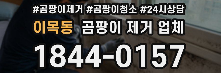 이목동 곰팡이 제거 업체