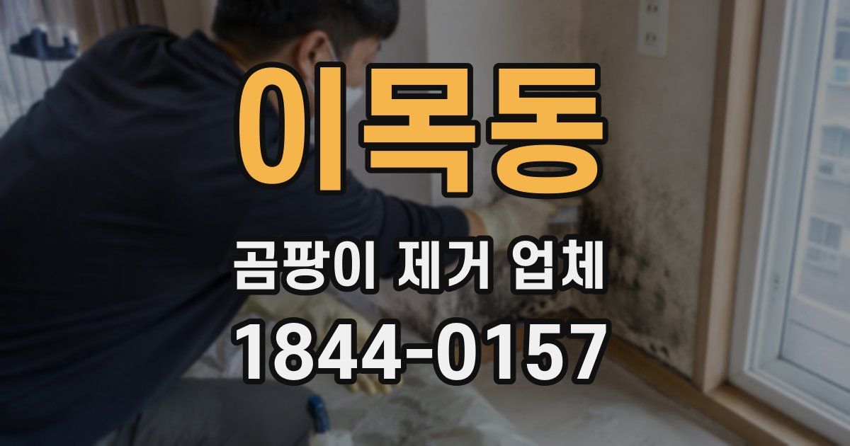 이목동 곰팡이 제거 업체