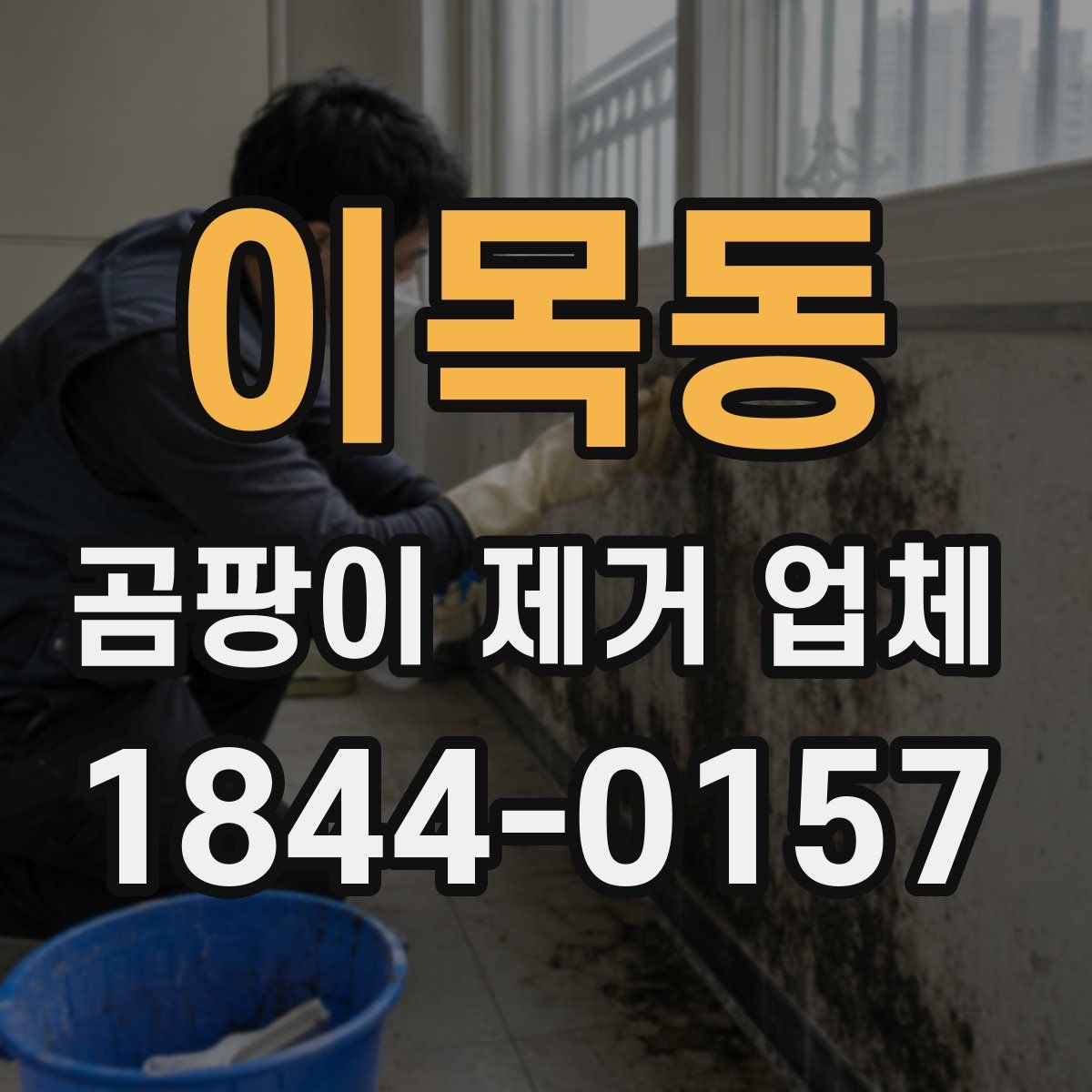 이목동 곰팡이 제거 업체