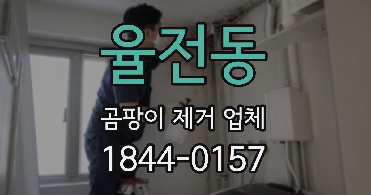 율전동 곰팡이 제거 업체