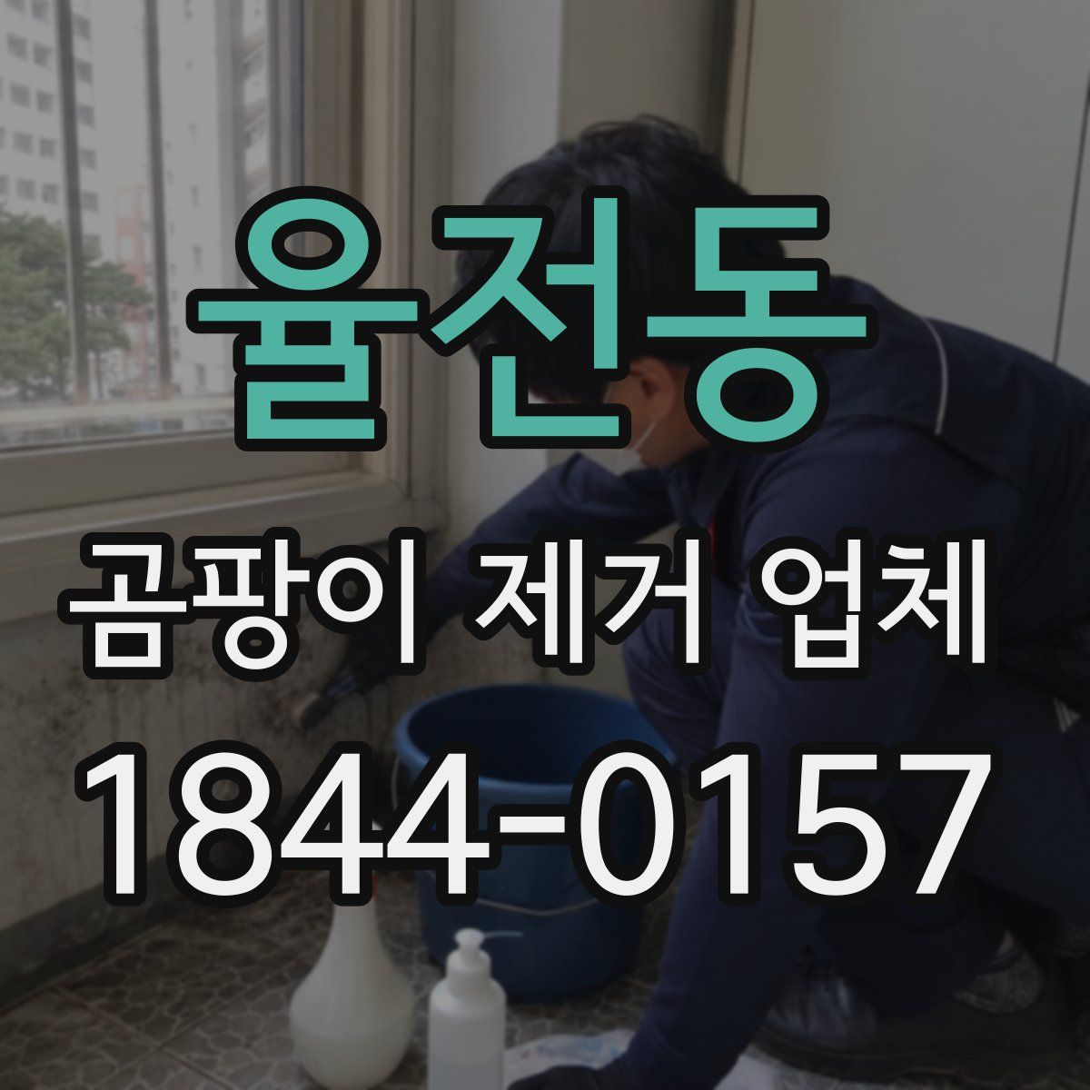 율전동 곰팡이 제거 업체