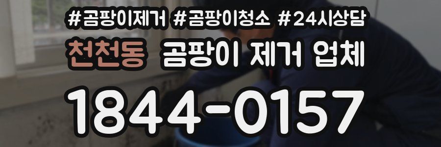 천천동 곰팡이 제거 업체