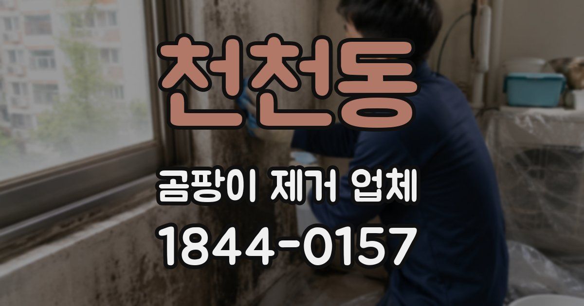 천천동 곰팡이 제거 업체
