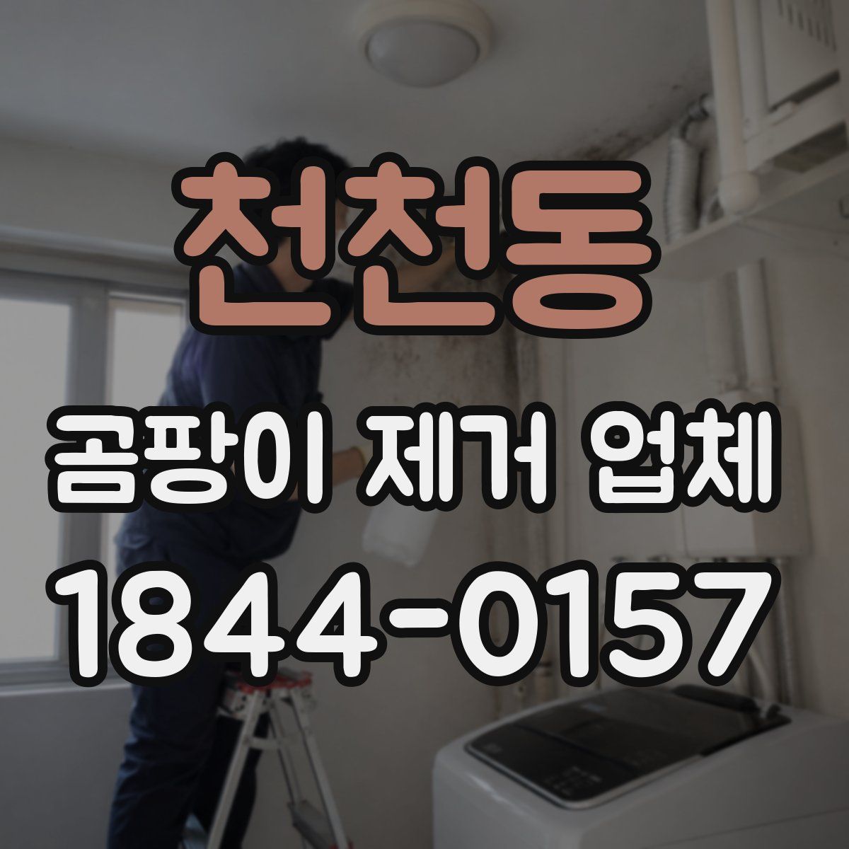 천천동 곰팡이 제거 업체