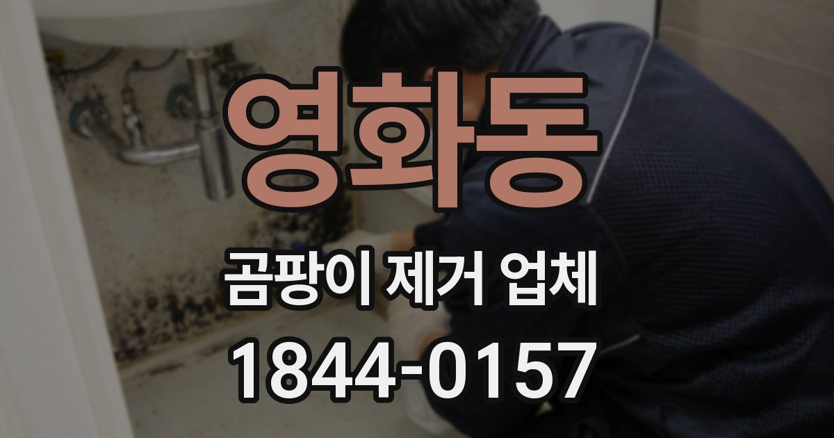 영화동 곰팡이 제거 업체
