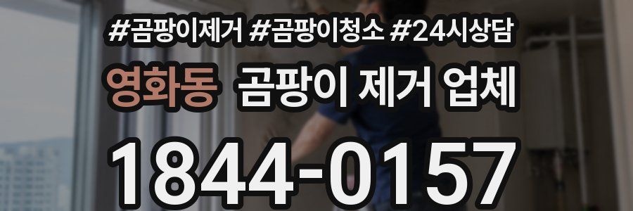 영화동 곰팡이 제거 업체