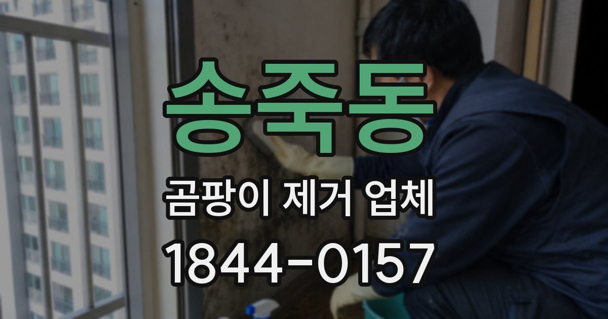 송죽동 곰팡이 제거 업체