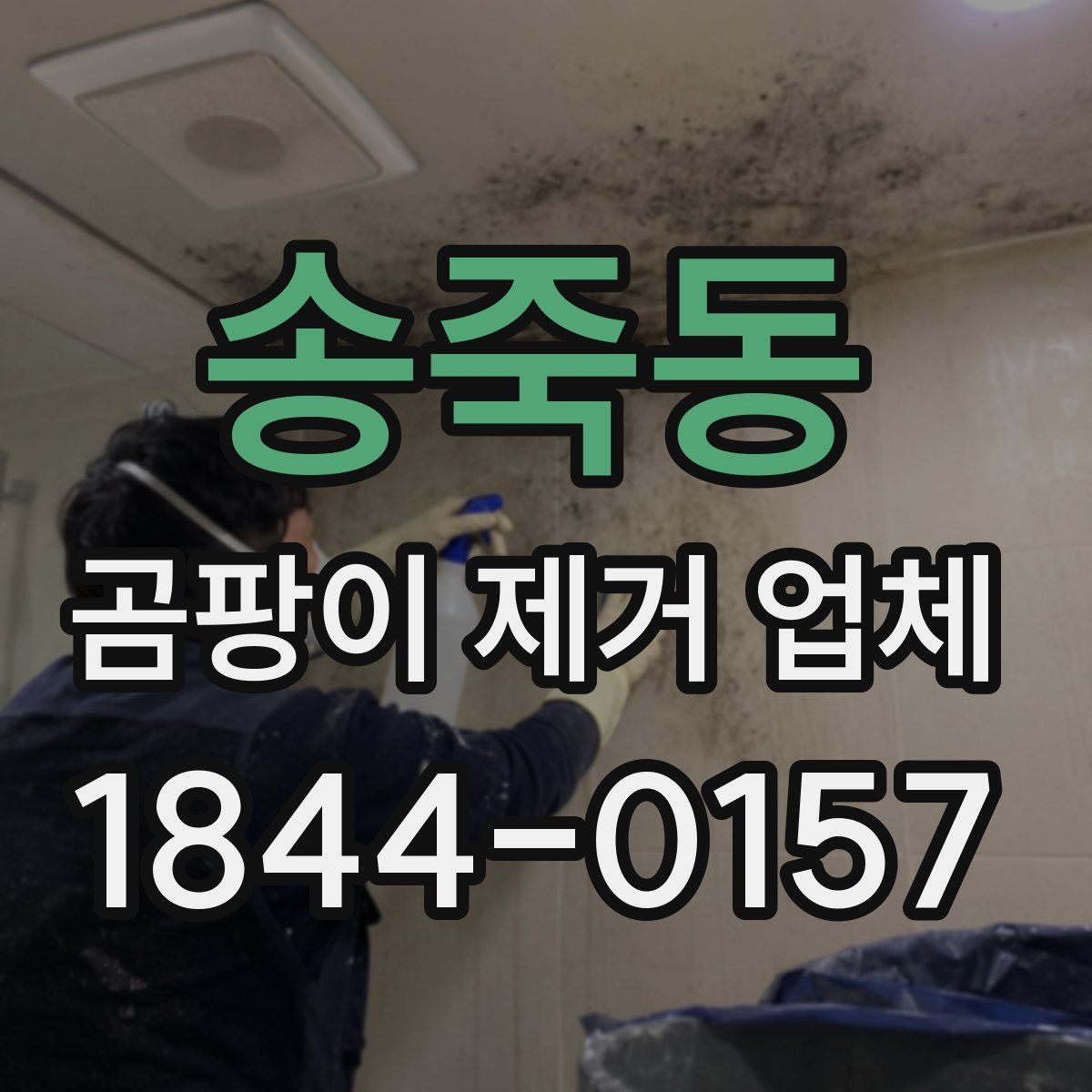 송죽동 곰팡이 제거 업체