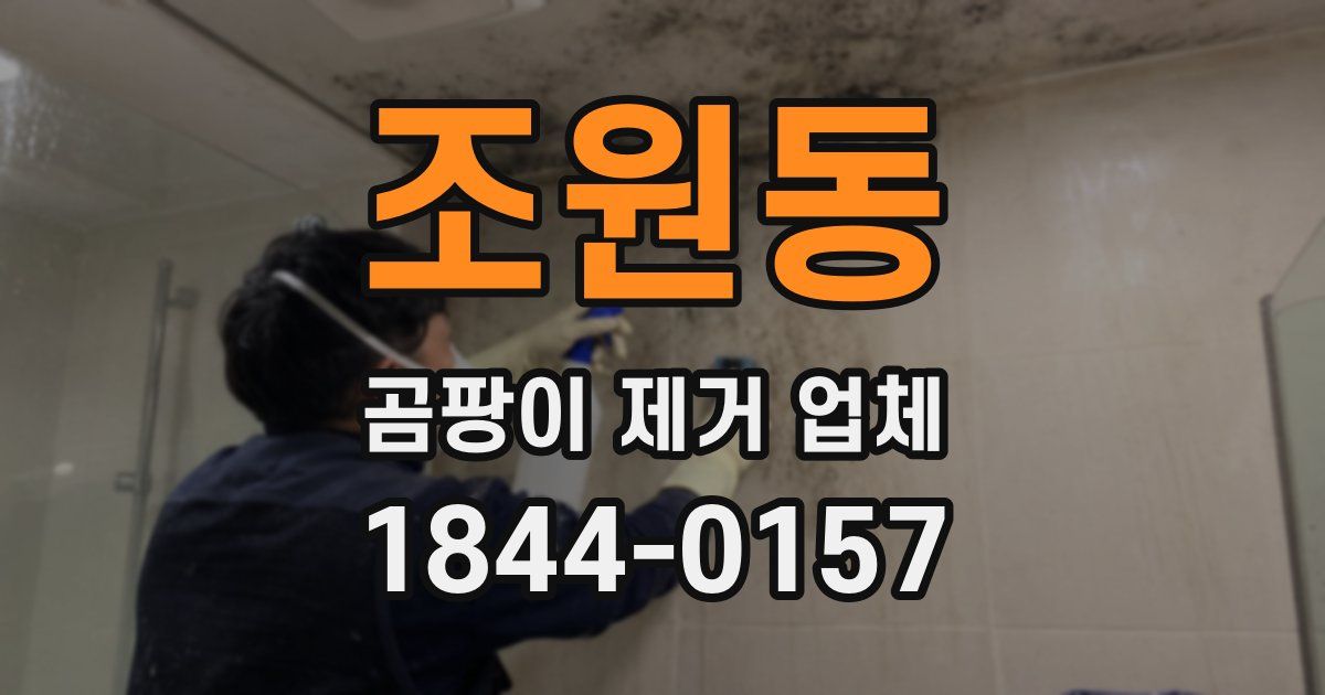 조원동 곰팡이 제거 업체
