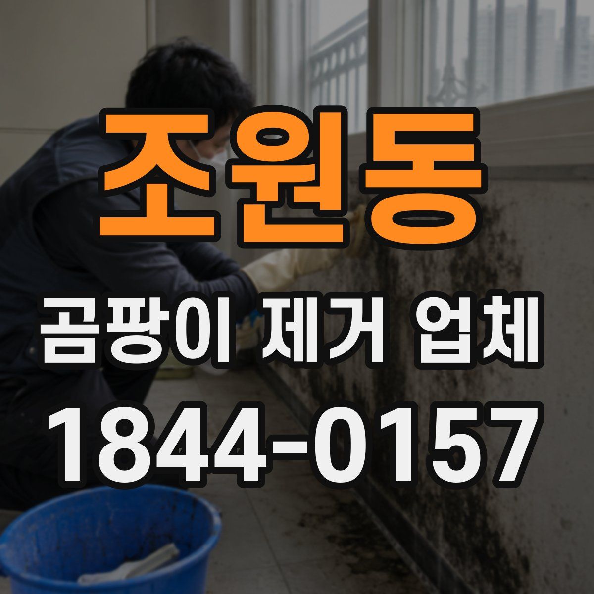 조원동 곰팡이 제거 업체
