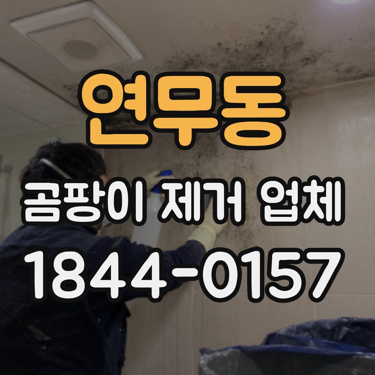 연무동 곰팡이 제거 업체