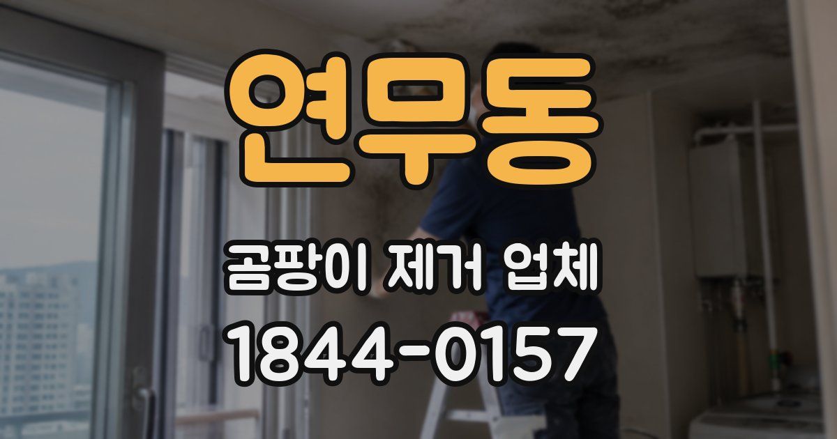 연무동 곰팡이 제거 업체