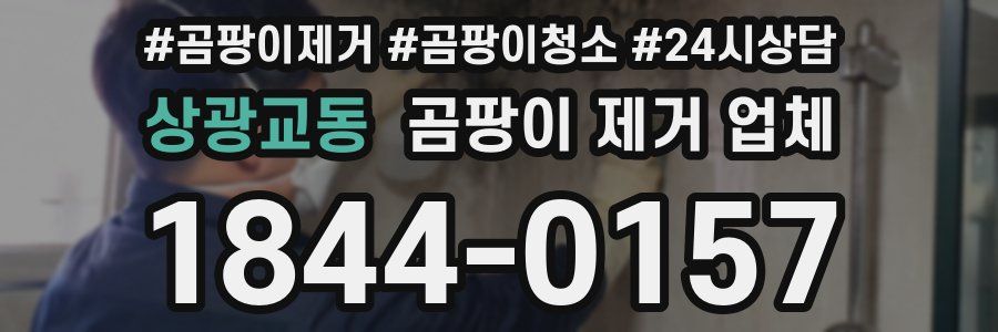 상광교동 곰팡이 제거 업체