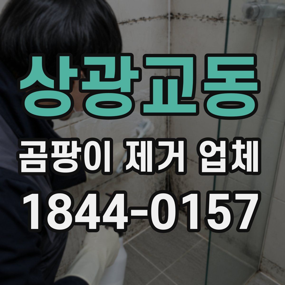 상광교동 곰팡이 제거 업체