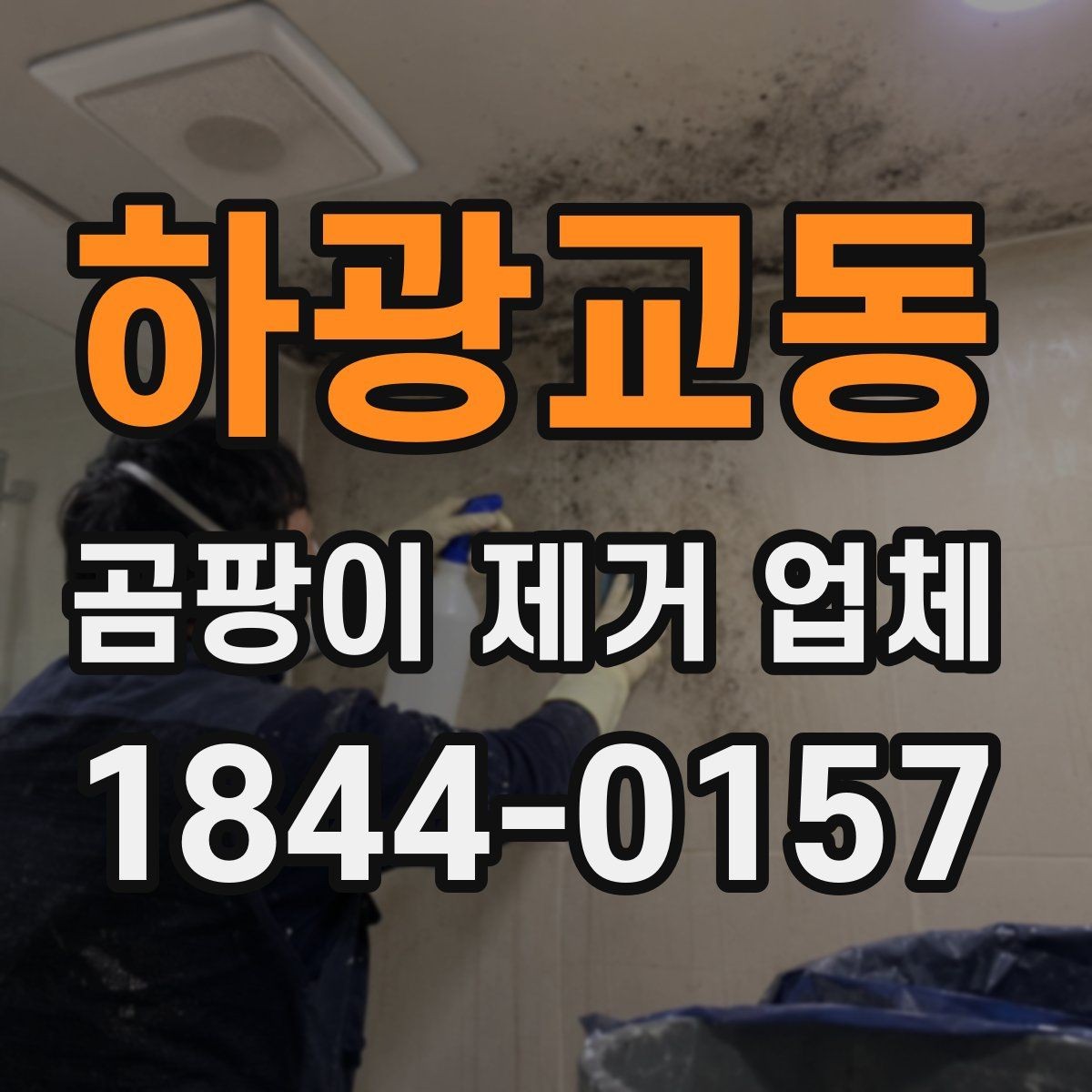 하광교동 곰팡이 제거 업체 실내 공기 상태와 냄새 지점을 함께 찾는 과정