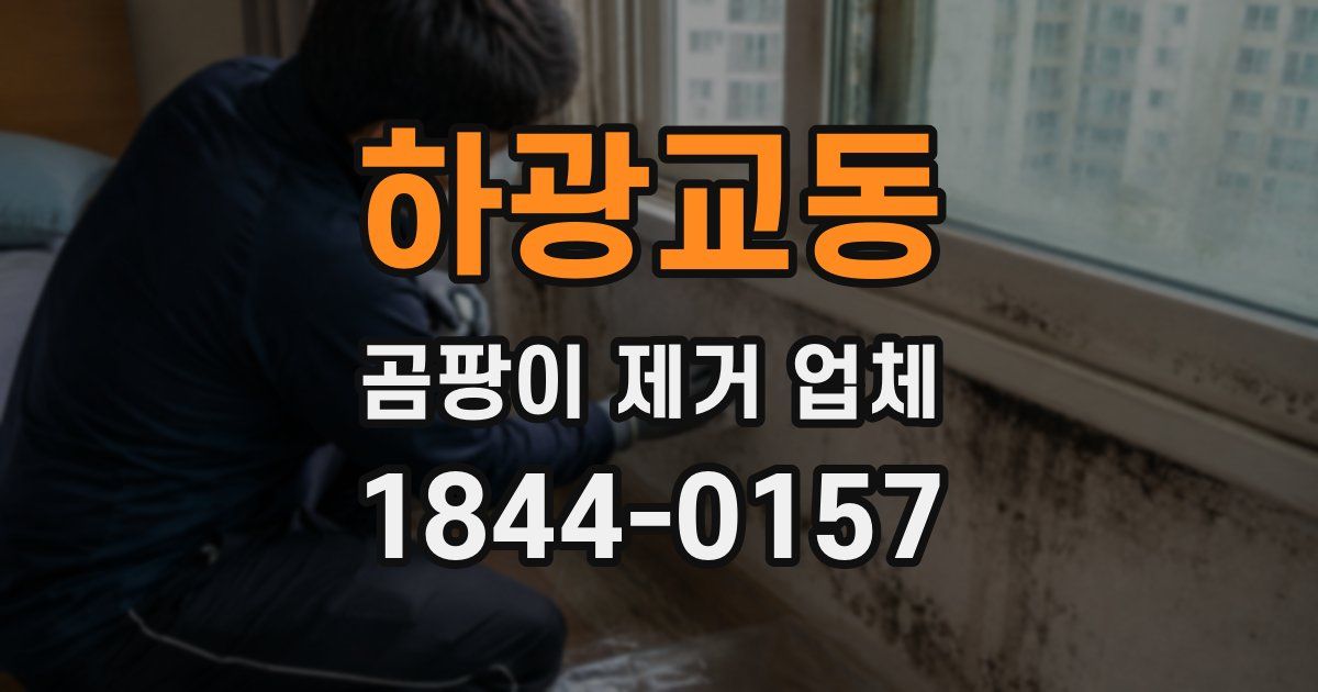 하광교동 곰팡이 제거 업체