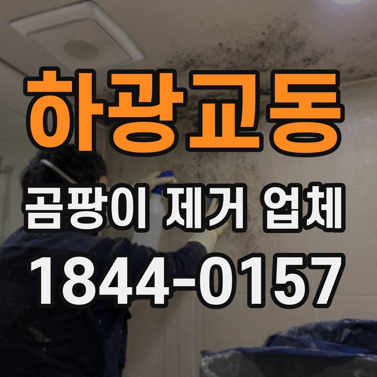 하광교동 곰팡이 제거 업체