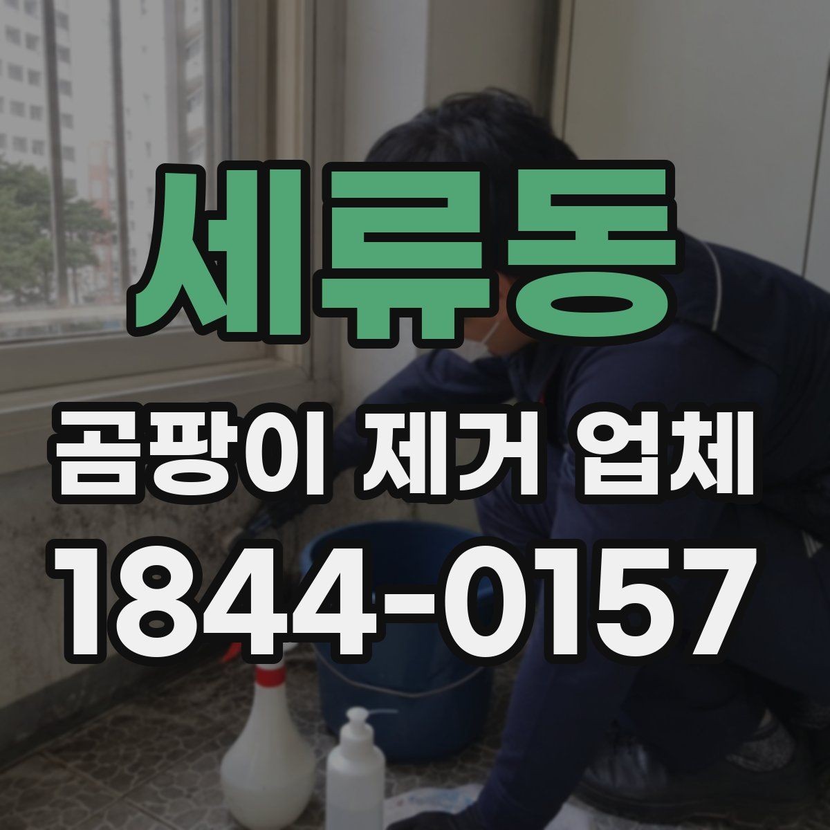 세류동 곰팡이 제거 업체 실내 공기 상태와 냄새 발생 지점을 찾는 과정