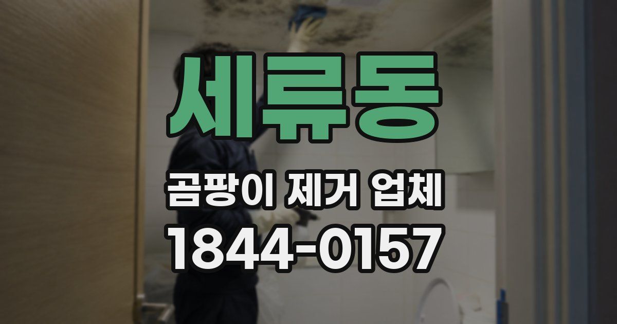 세류동 곰팡이 제거 업체
