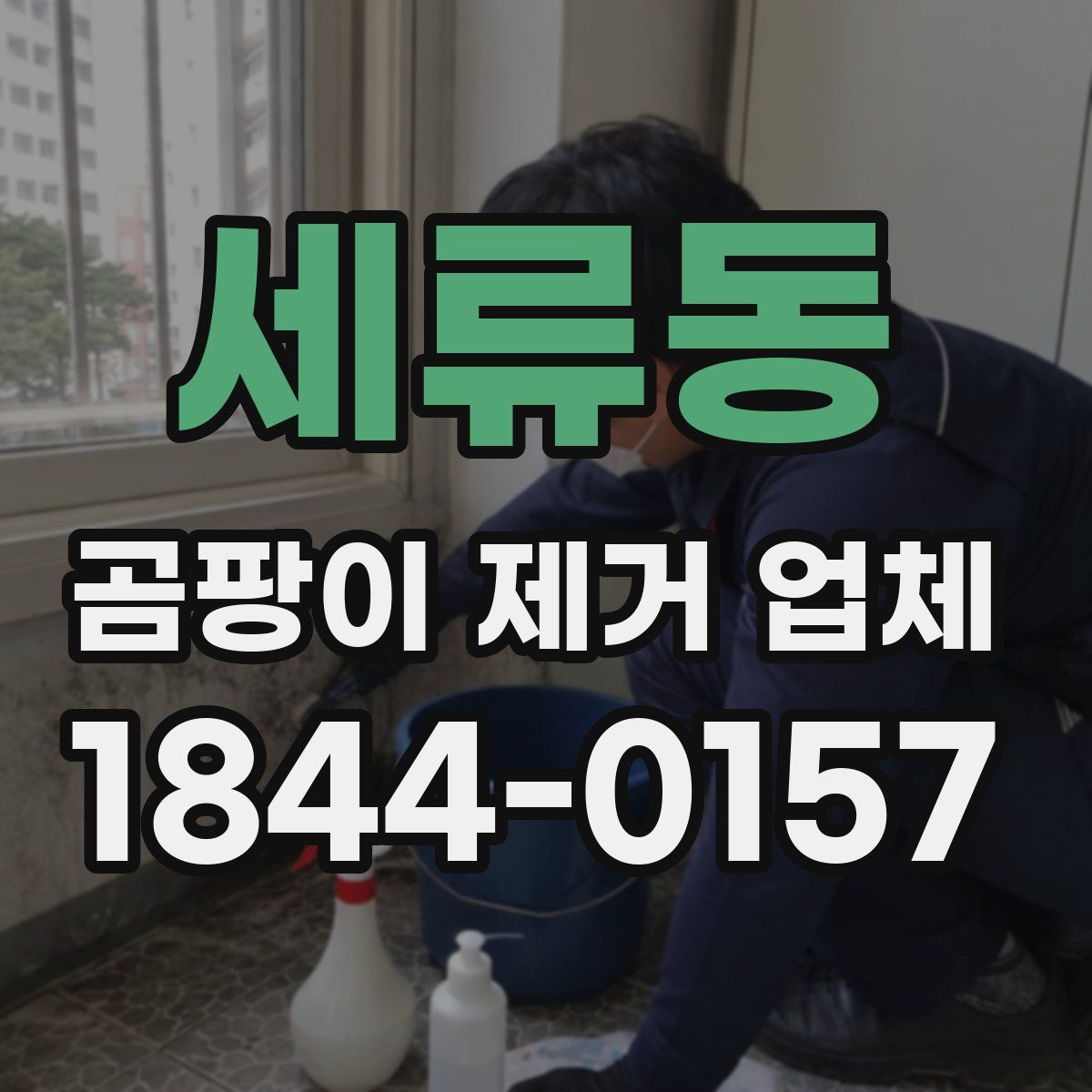 세류동 곰팡이 제거 업체