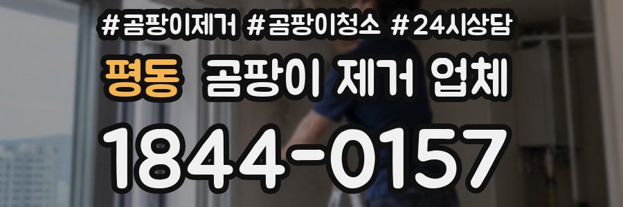 평동 곰팡이 제거 업체