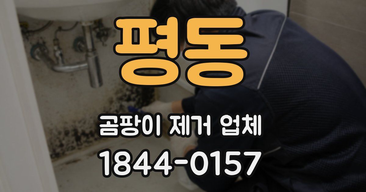 평동 곰팡이 제거 업체