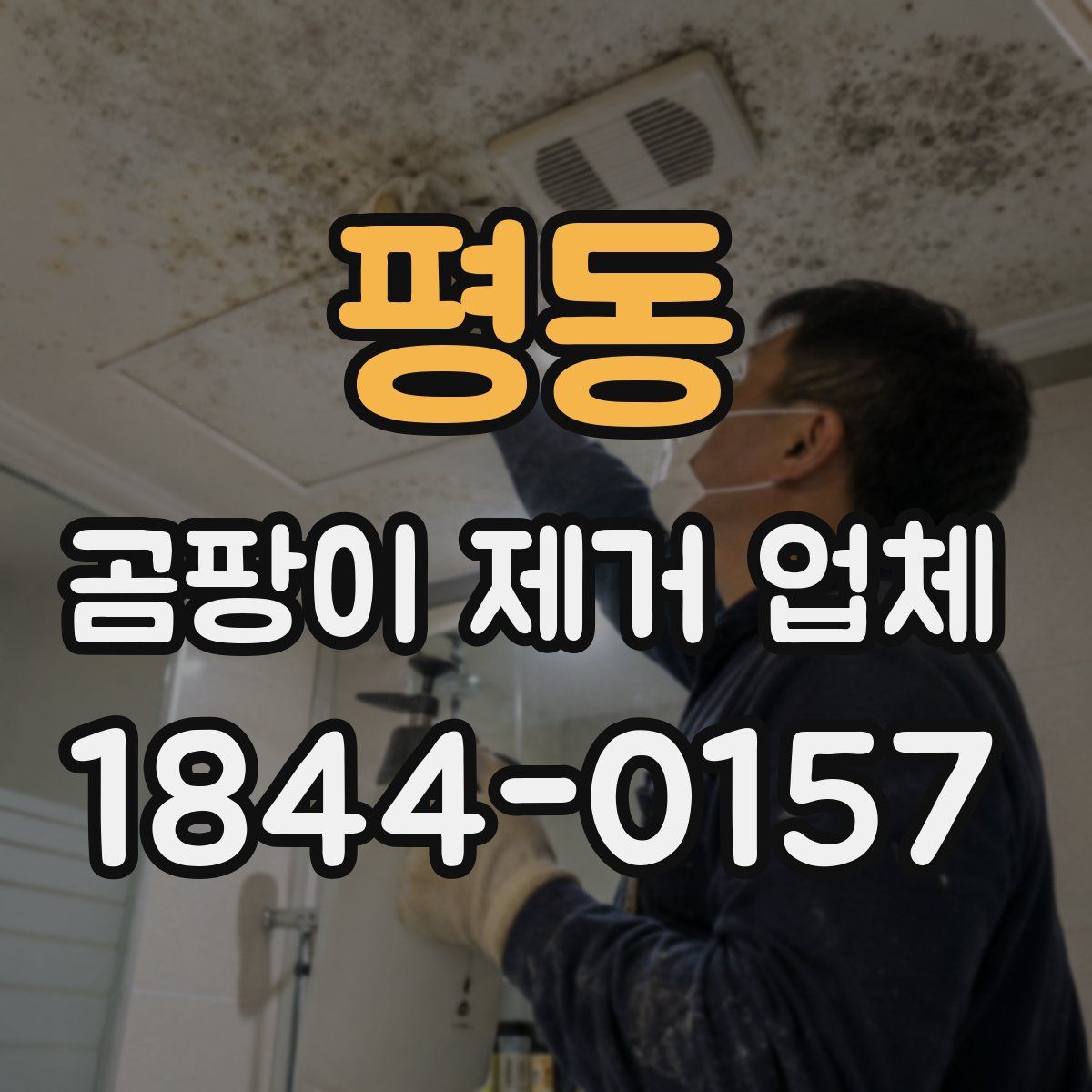 평동 곰팡이 제거 업체
