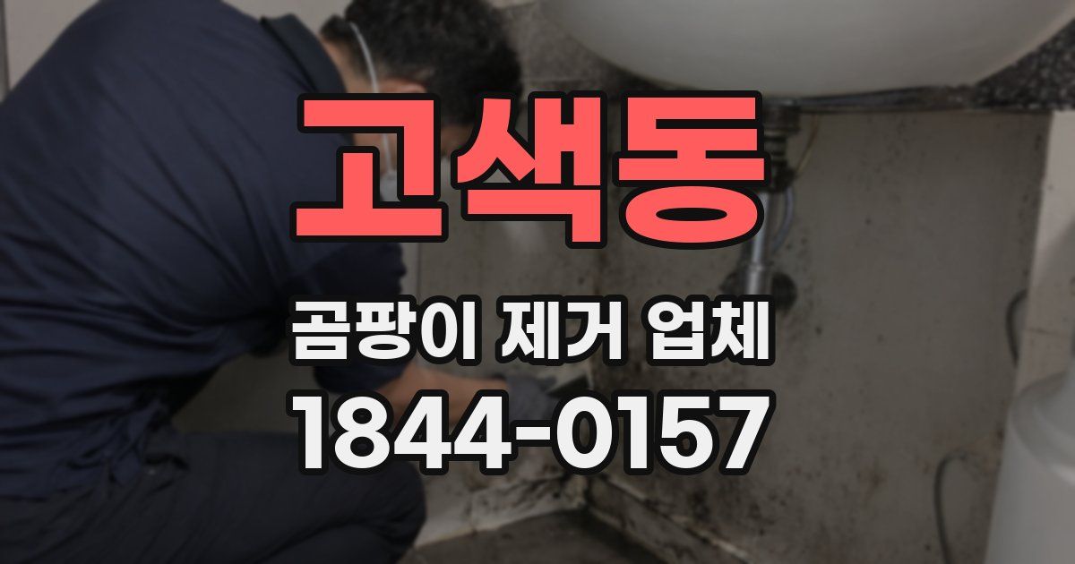고색동 곰팡이 제거 업체