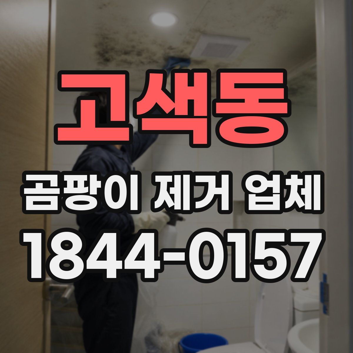 고색동 곰팡이 제거 업체
