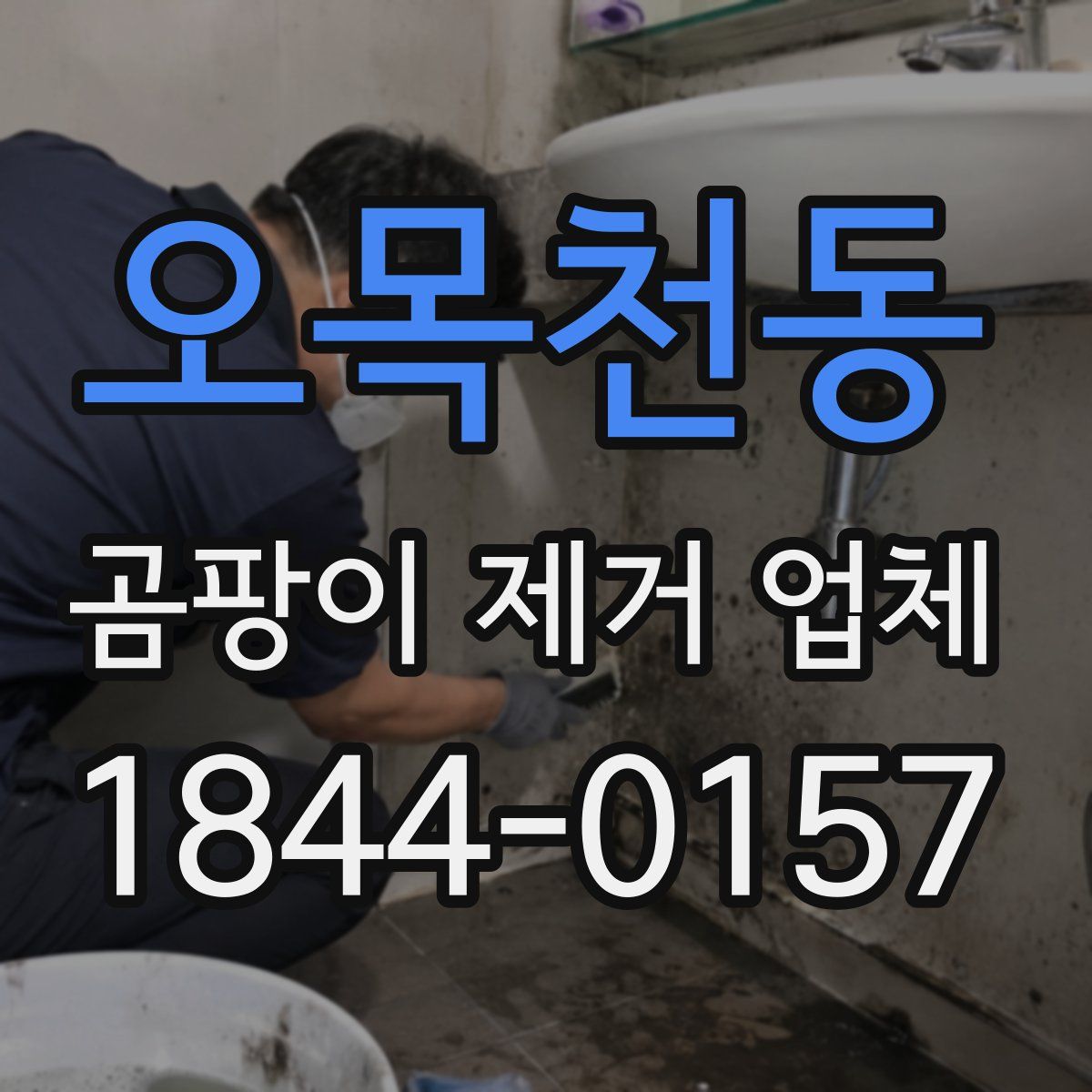오목천동 곰팡이 제거 업체