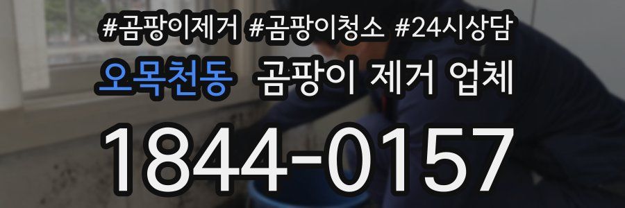 오목천동 곰팡이 제거 업체