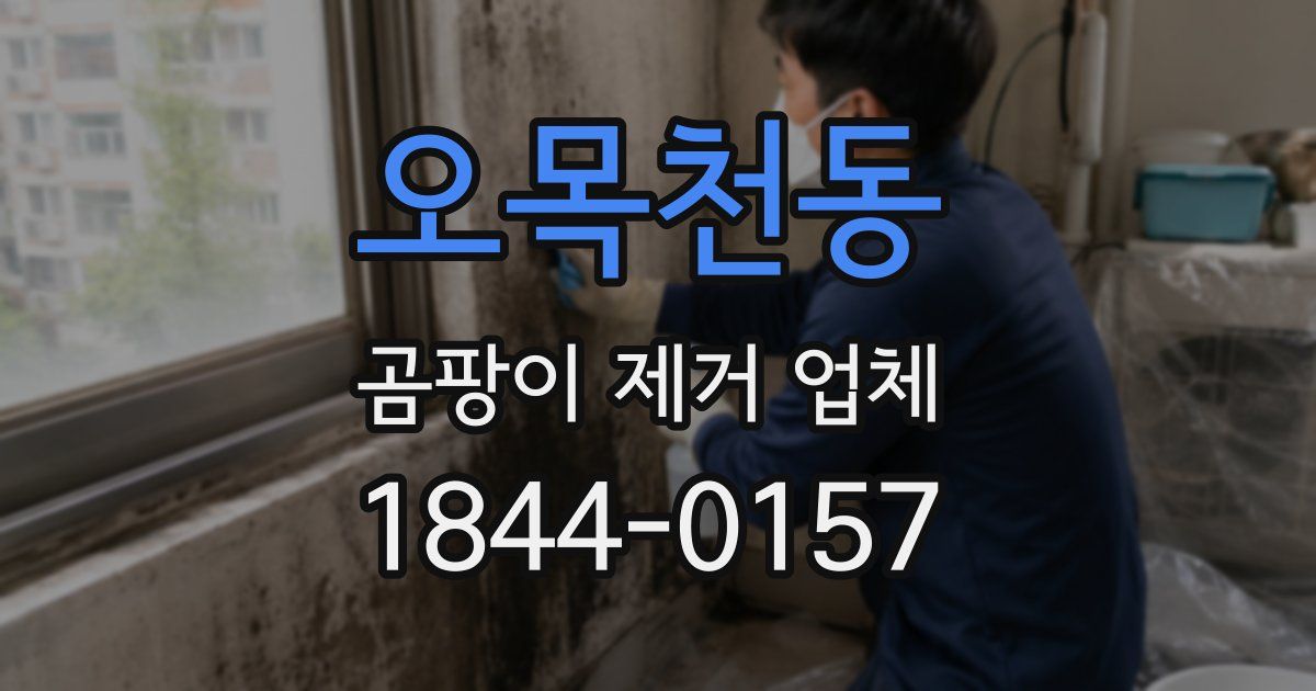 오목천동 곰팡이 제거 업체