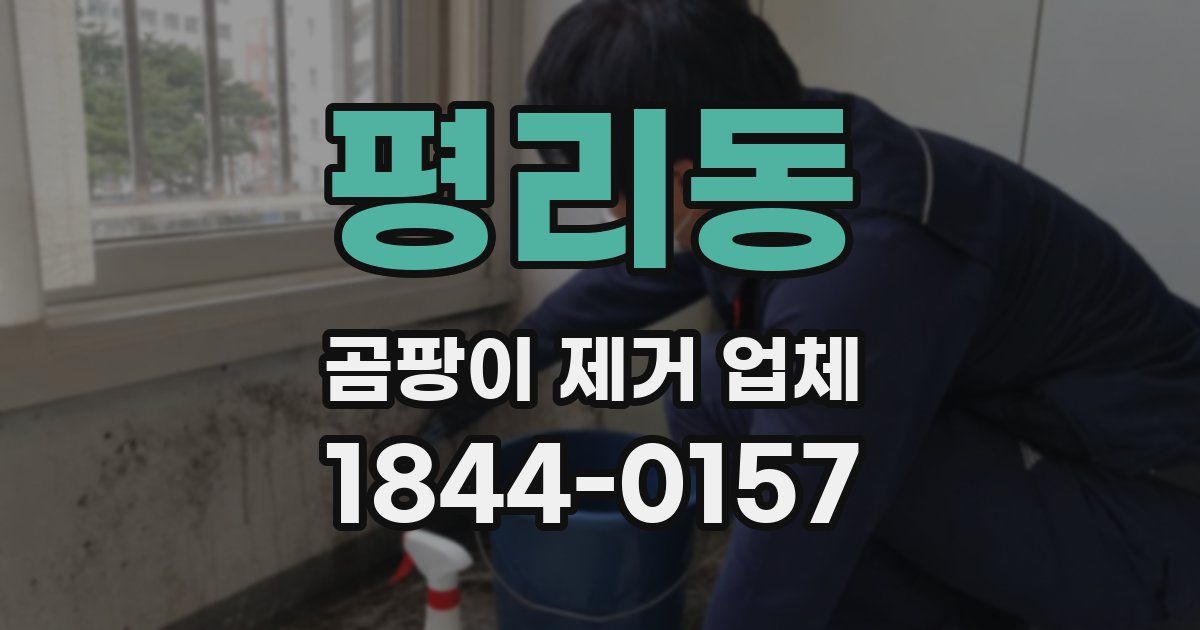 평리동 곰팡이 제거 업체