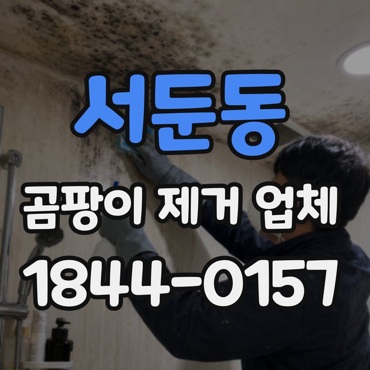 서둔동 곰팡이 제거 업체