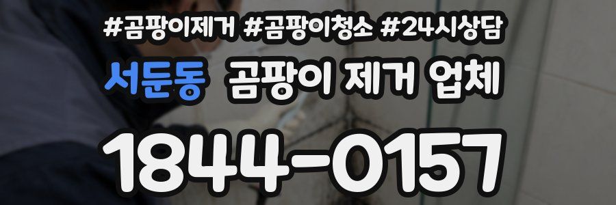 서둔동 곰팡이 제거 업체
