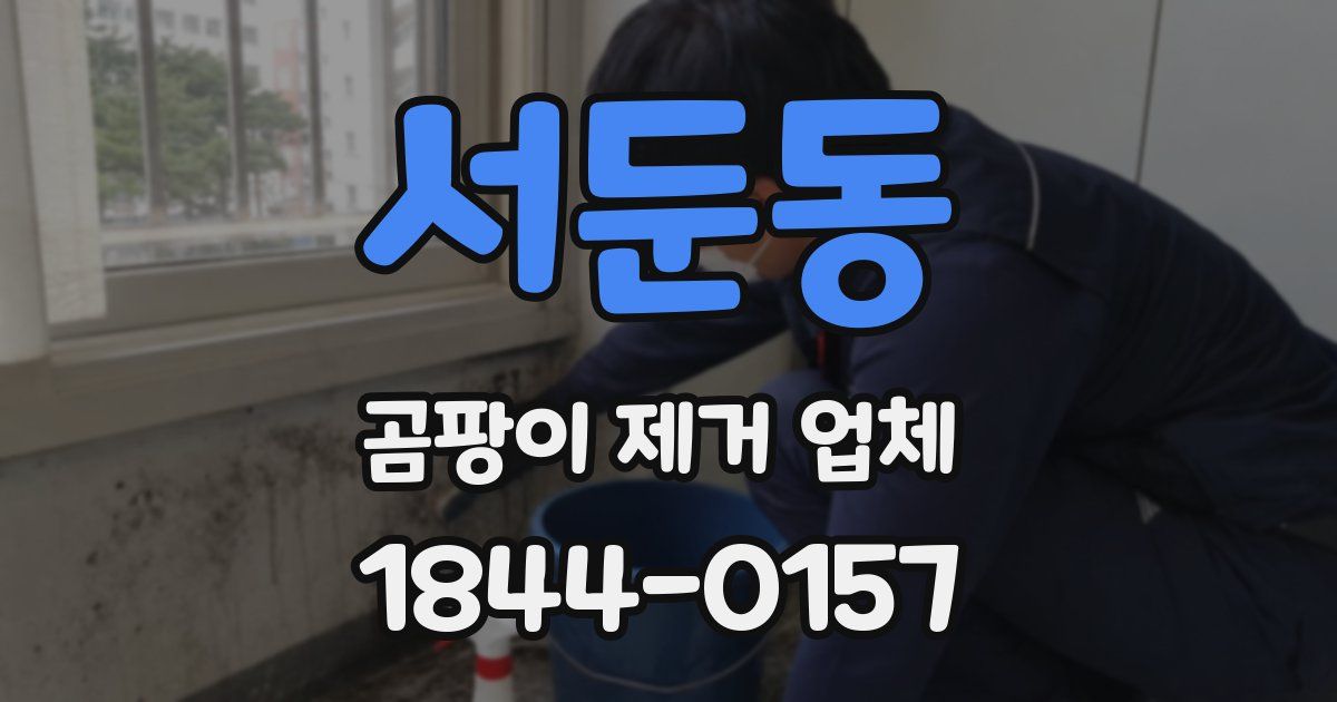 서둔동 곰팡이 제거 업체