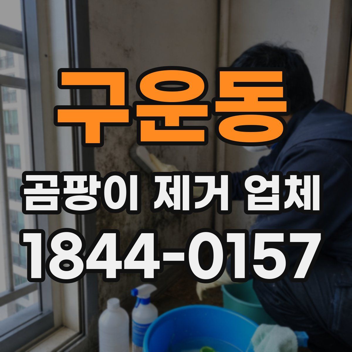 구운동 곰팡이 제거 업체