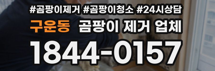 구운동 곰팡이 제거 업체