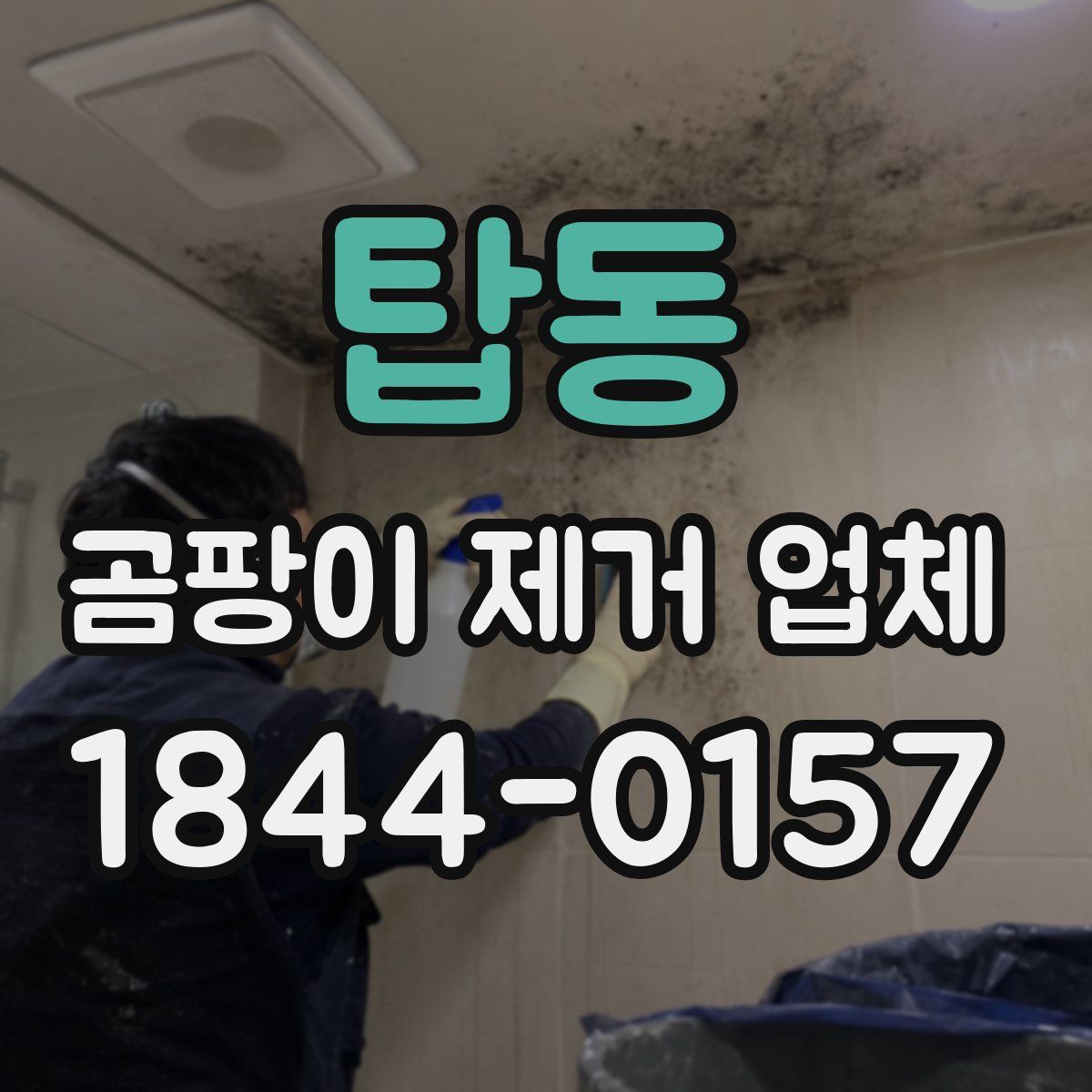 탑동 곰팡이 제거 업체