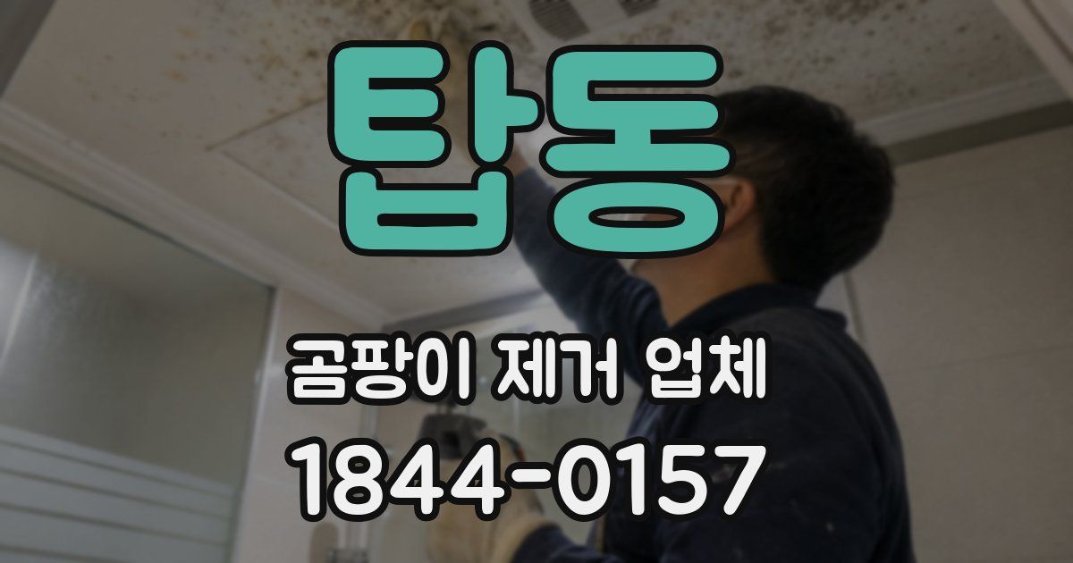 탑동 곰팡이 제거 업체