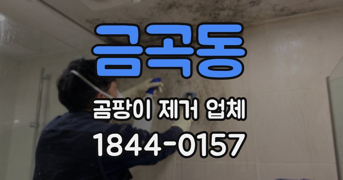 금곡동 곰팡이 제거 업체