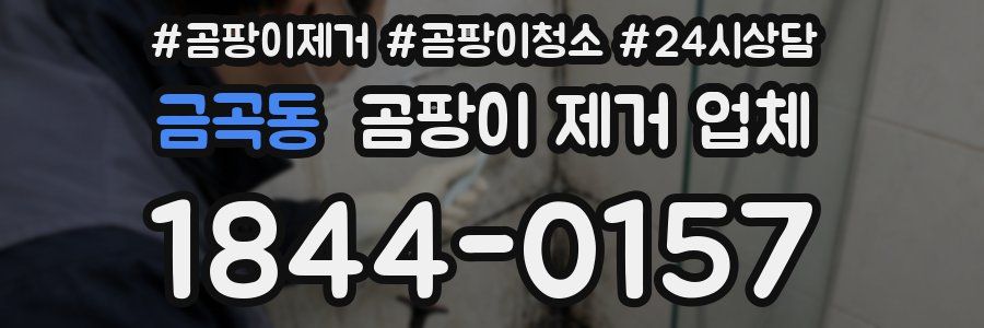 금곡동 곰팡이 제거 업체
