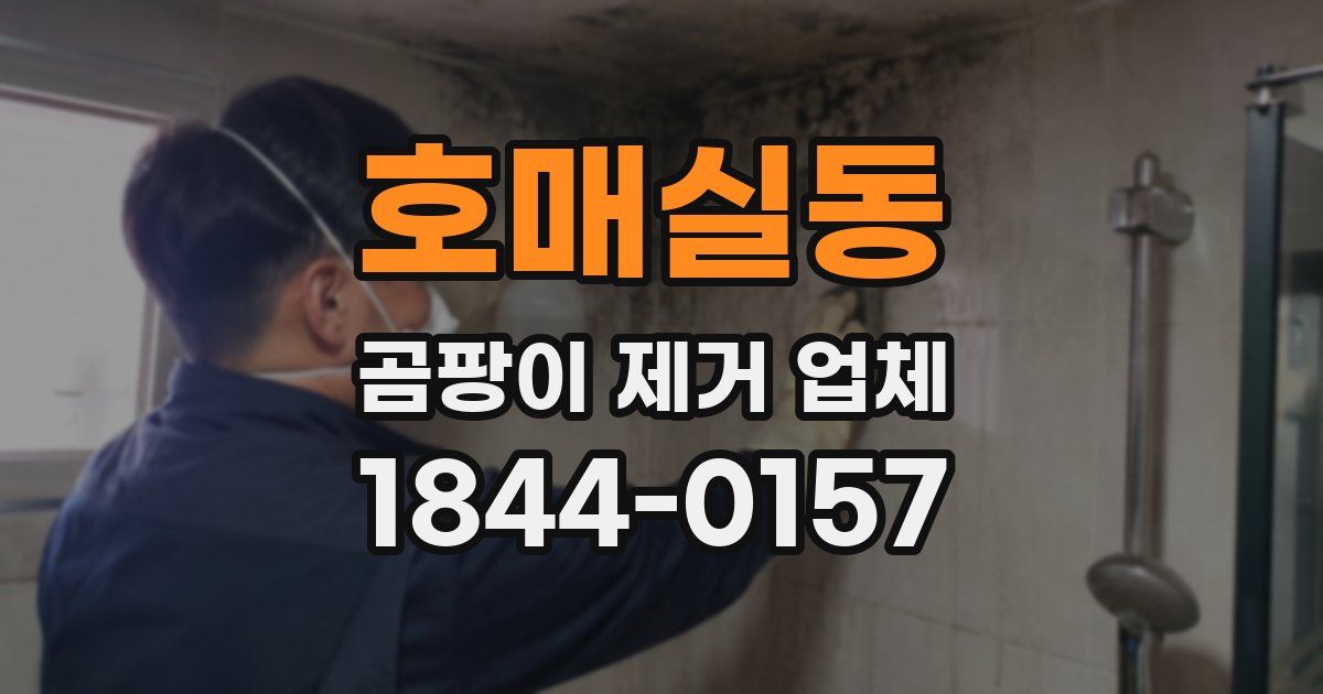 호매실동 곰팡이 제거 업체