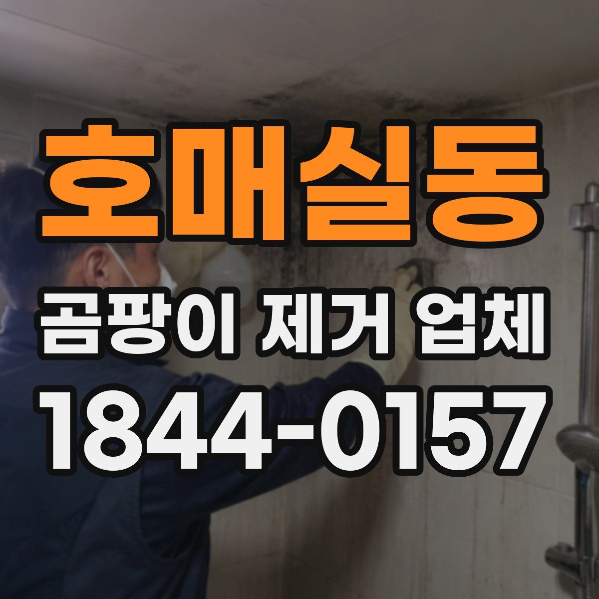 호매실동 곰팡이 제거 업체