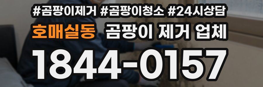 호매실동 곰팡이 제거 업체