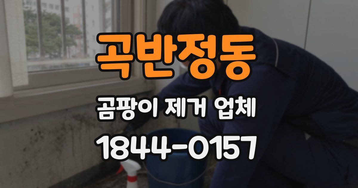 곡반정동 곰팡이 제거 업체