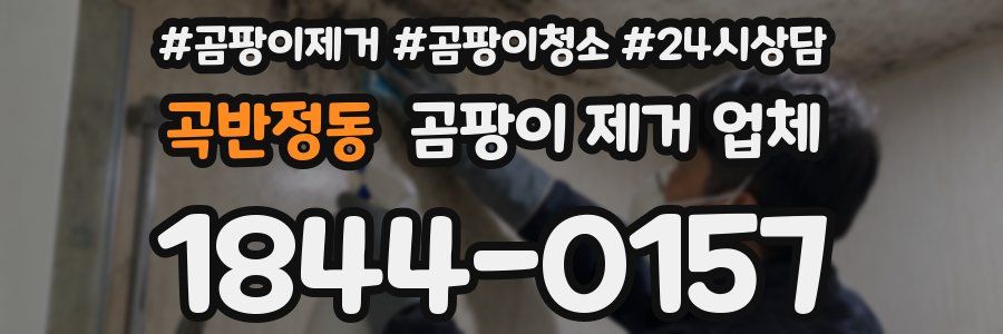 곡반정동 곰팡이 제거 업체