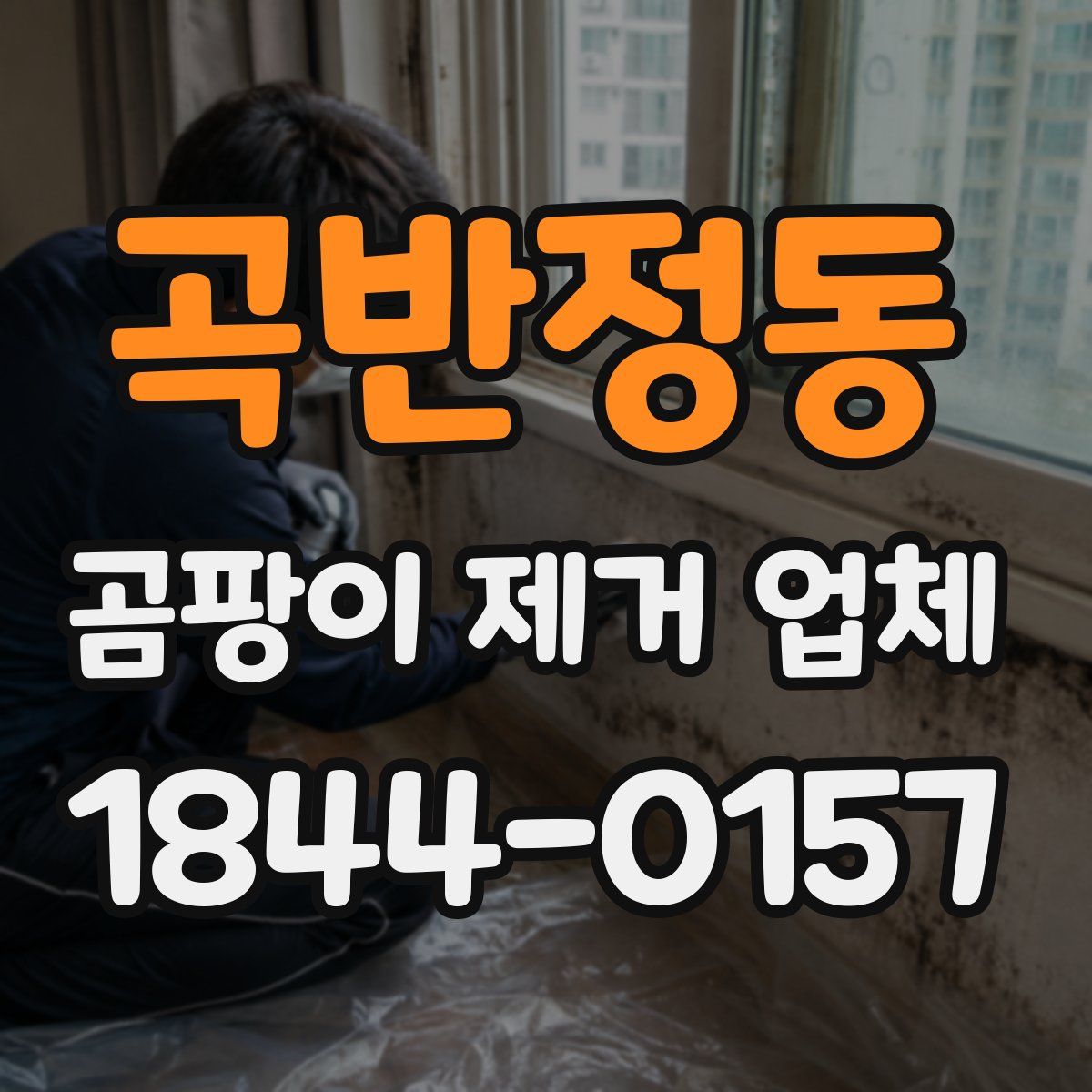 곡반정동 곰팡이 제거 업체