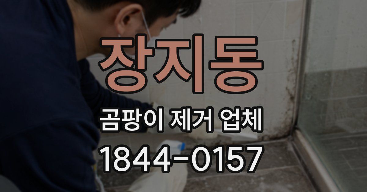 장지동 곰팡이 제거 업체